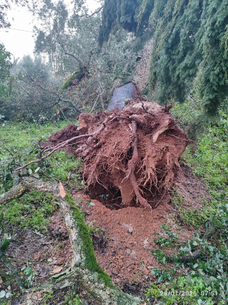 Imagens impressionantes da depressão Kristin em Ferreira do Zêzere