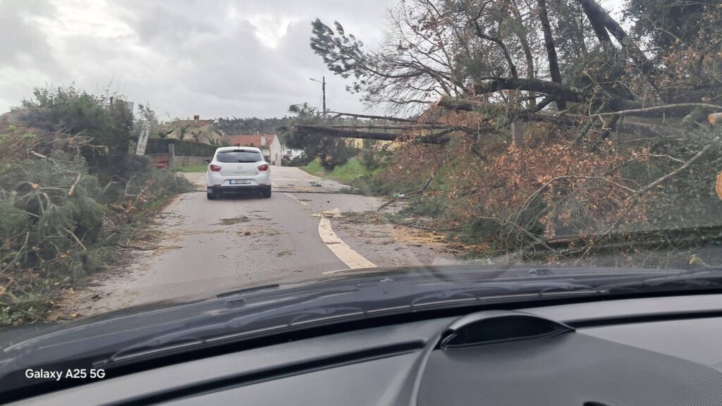 Imagens impressionantes da depressão Kristin em Ferreira do Zêzere