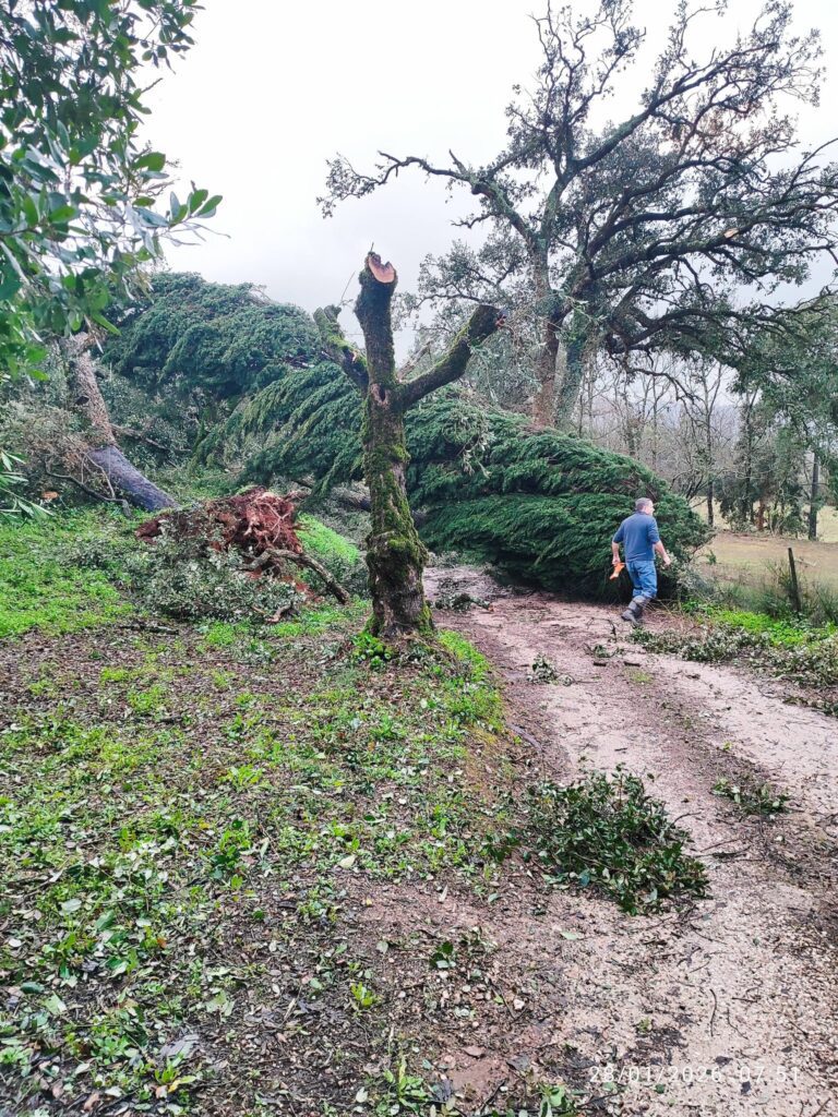 Imagens impressionantes da depressão Kristin em Ferreira do Zêzere