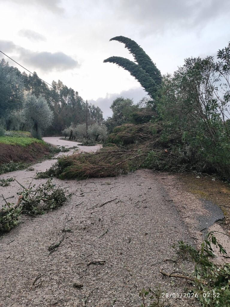 Imagens impressionantes da depressão Kristin em Ferreira do Zêzere