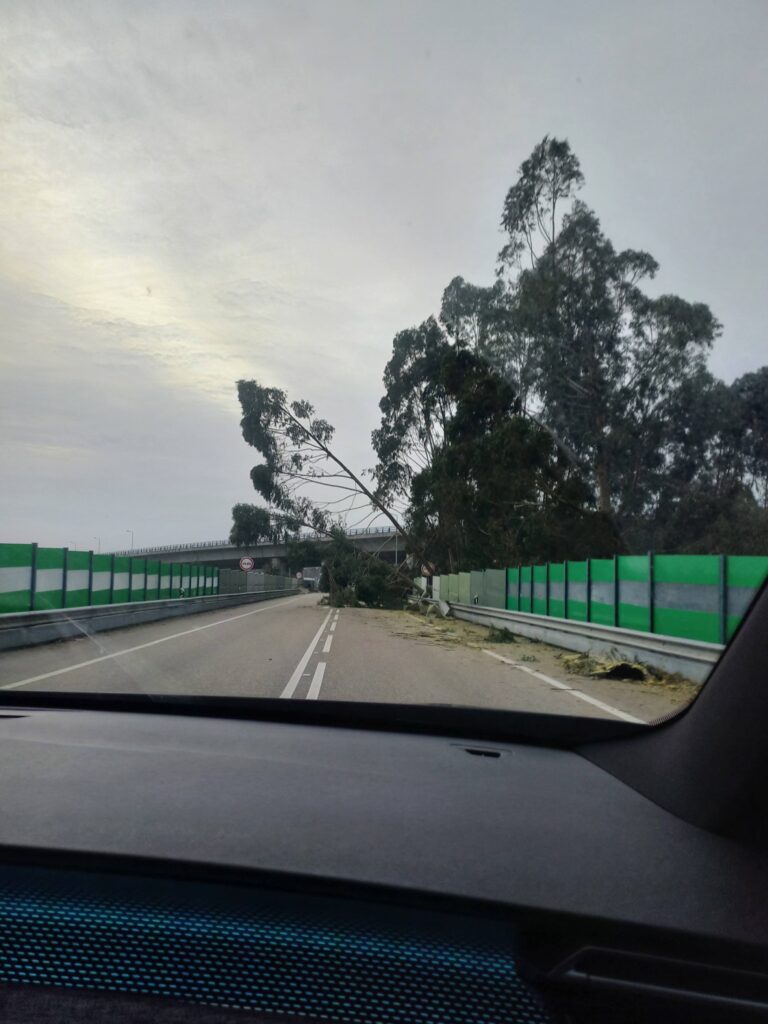 Imagens impressionantes da depressão Kristin em Ferreira do Zêzere