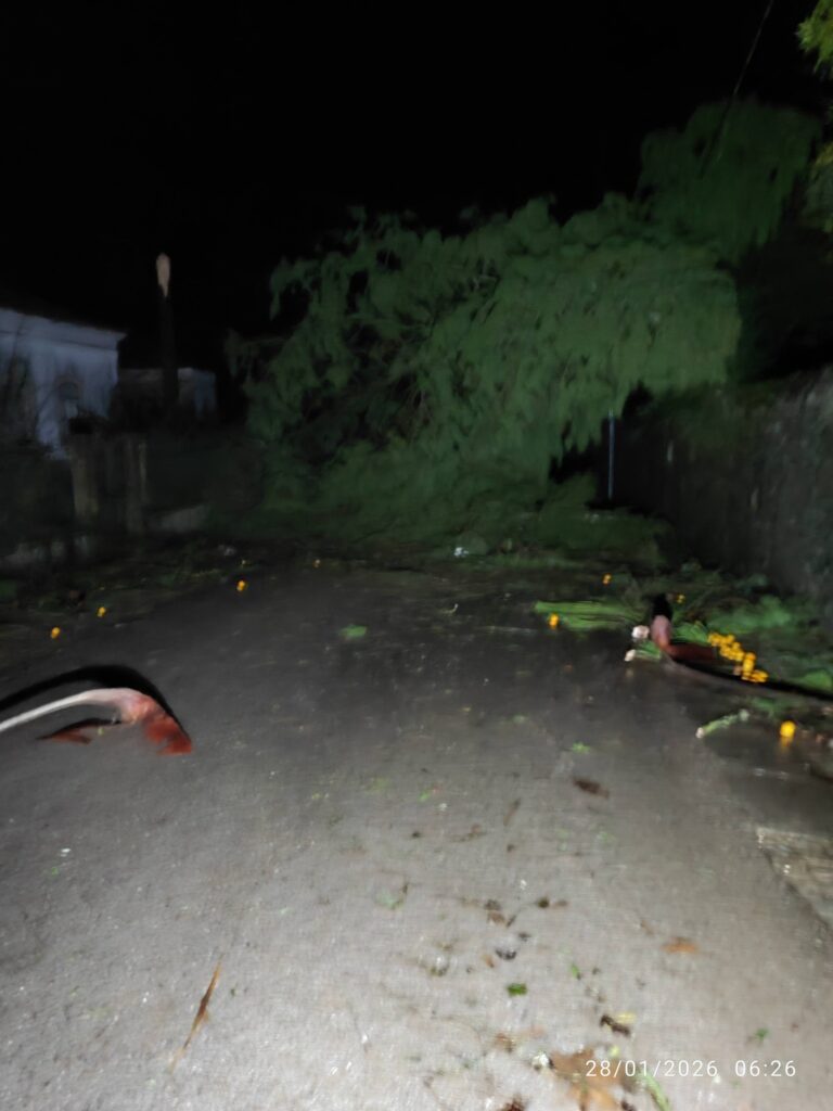 Imagens impressionantes da depressão Kristin em Ferreira do Zêzere