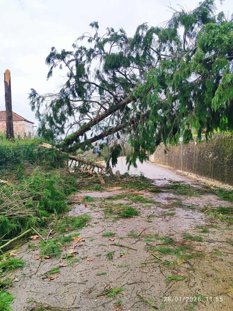 Imagens impressionantes da depressão Kristin em Ferreira do Zêzere