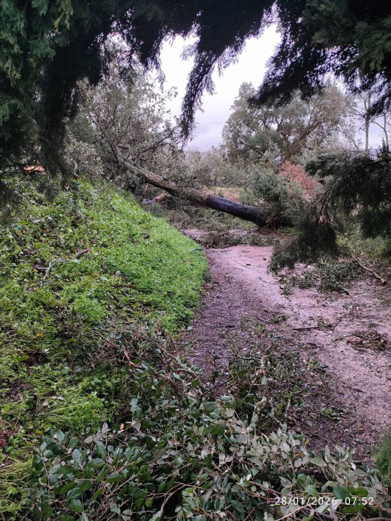 Imagens impressionantes da depressão Kristin em Ferreira do Zêzere