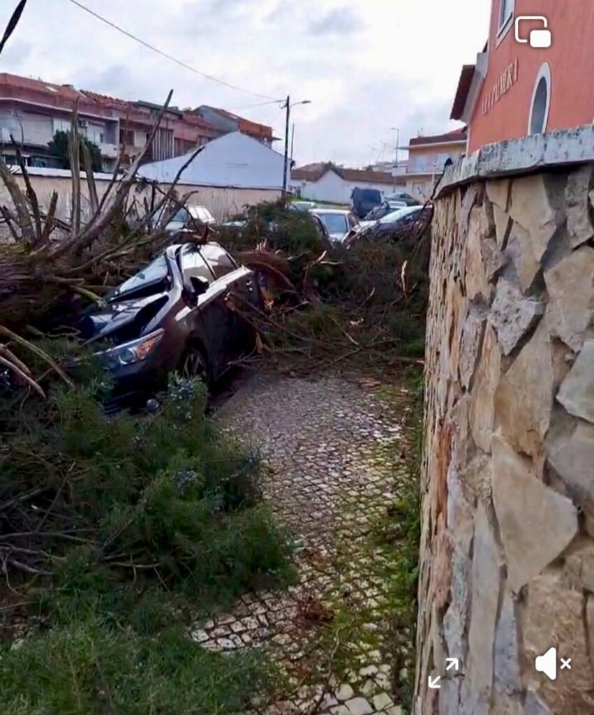 Câmara Municipal de Tomar disponibiliza apoio alimentar na Escola Jácome Ratton