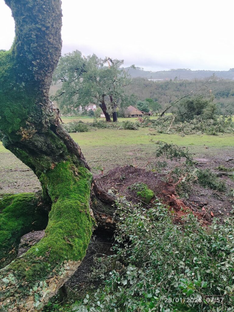 Imagens impressionantes da depressão Kristin em Ferreira do Zêzere