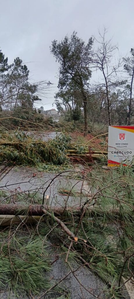 Tempestade Kristin leva à ativação do Plano Municipal de Emergência na Sertã
