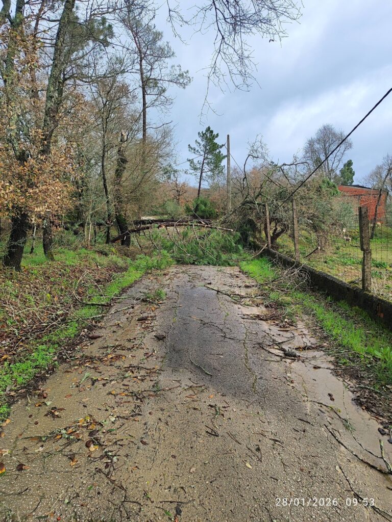 Imagens impressionantes da depressão Kristin em Ferreira do Zêzere