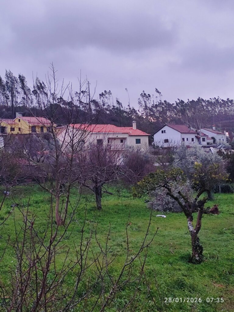 Imagens impressionantes da depressão Kristin em Ferreira do Zêzere