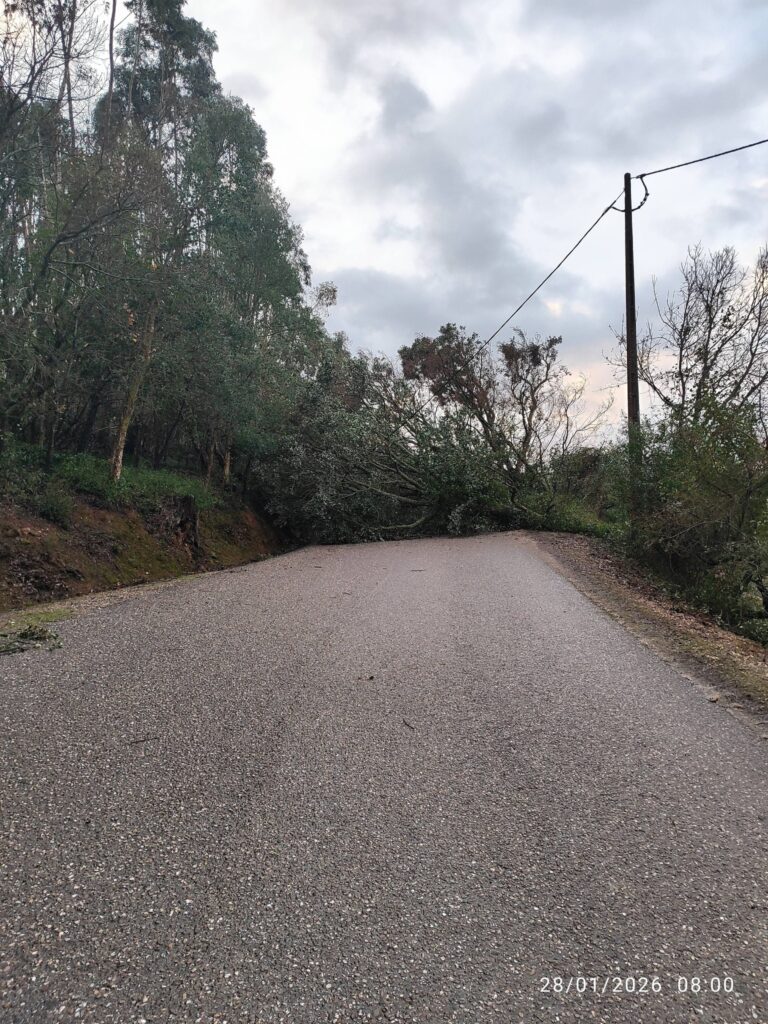 Imagens impressionantes da depressão Kristin em Ferreira do Zêzere