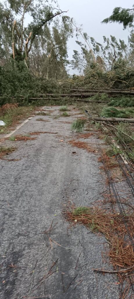 Tempestade Kristin leva à ativação do Plano Municipal de Emergência na Sertã