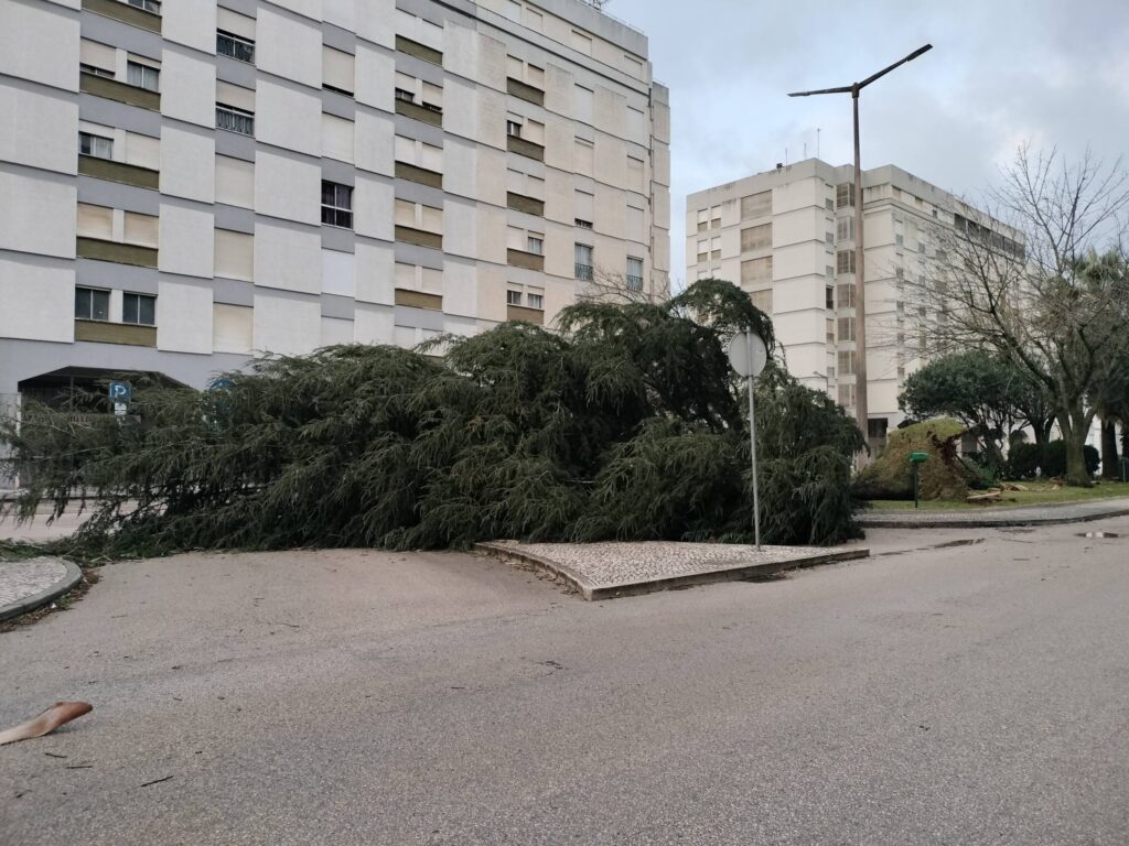 Câmara Municipal de Tomar disponibiliza apoio alimentar na Escola Jácome Ratton