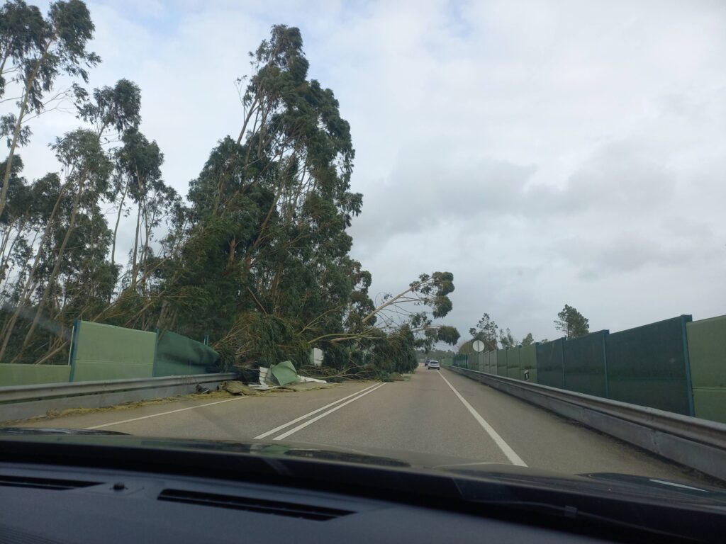 Imagens impressionantes da depressão Kristin em Ferreira do Zêzere