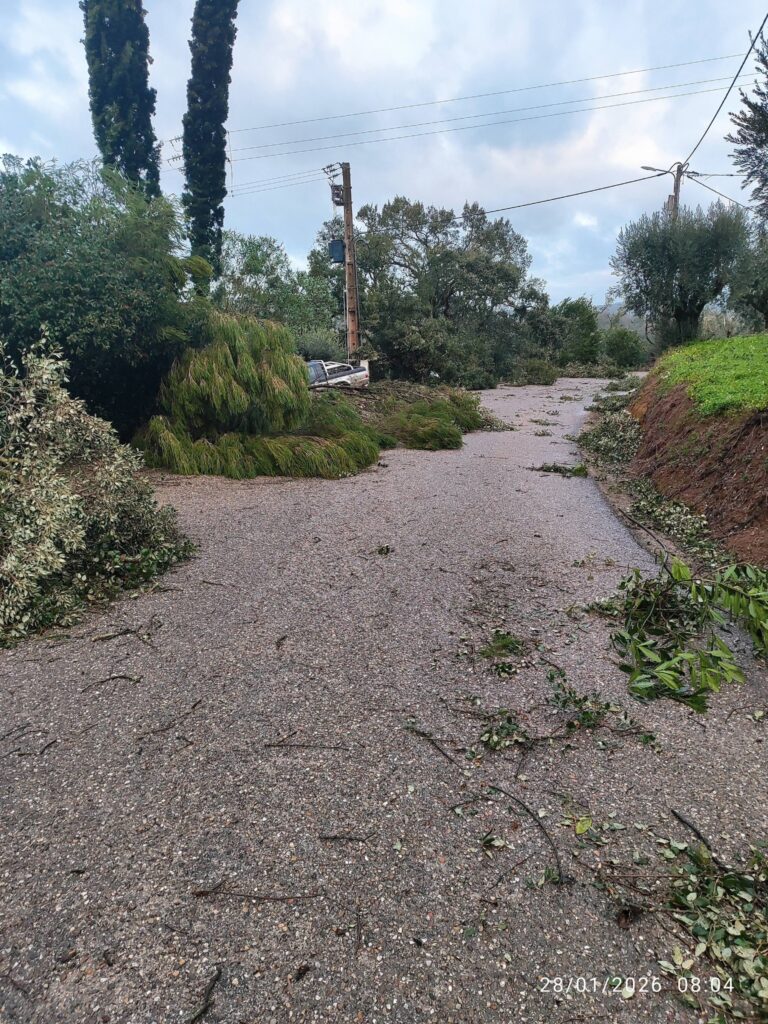 Imagens impressionantes da depressão Kristin em Ferreira do Zêzere
