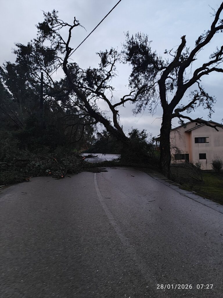 Imagens impressionantes da depressão Kristin em Ferreira do Zêzere