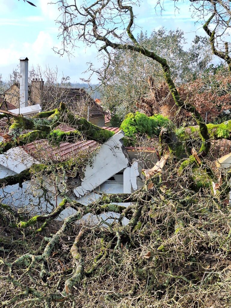 Depressão Kristin: Município de Ourém apela à calma e reforça meios no terreno