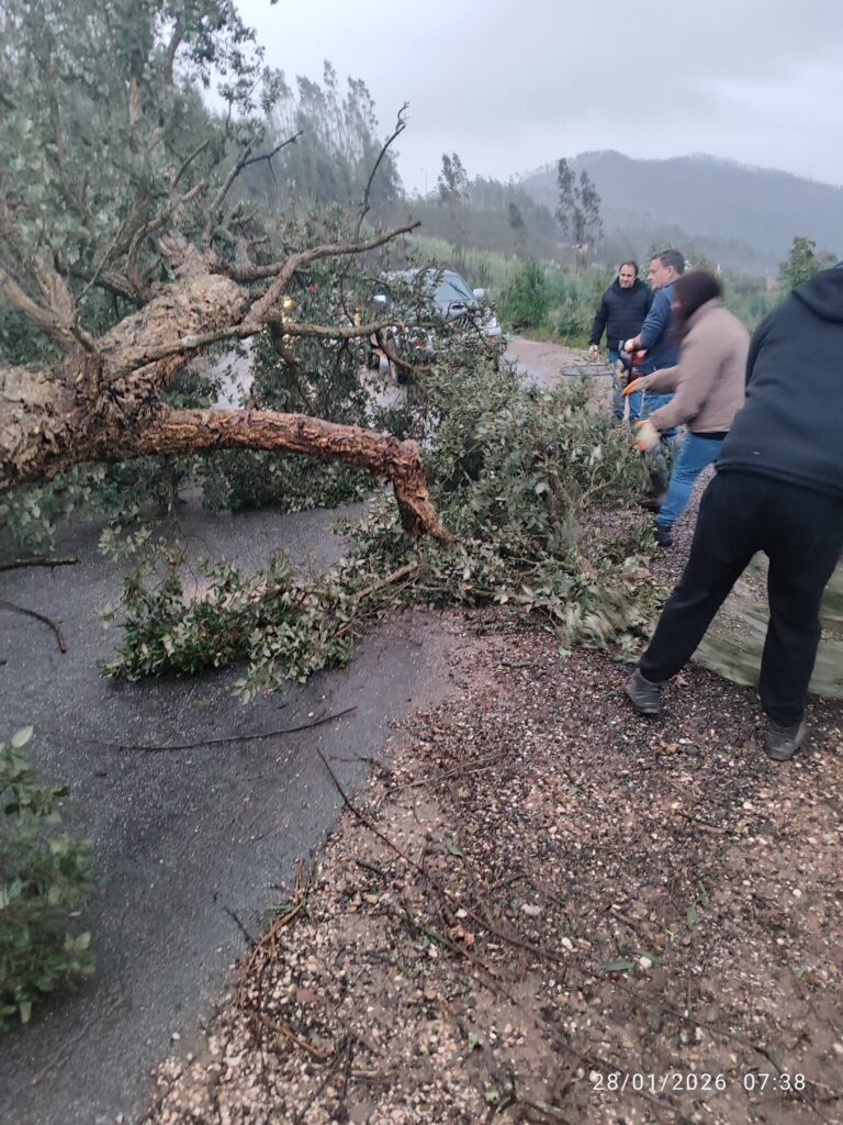 Imagens impressionantes da depressão Kristin em Ferreira do Zêzere