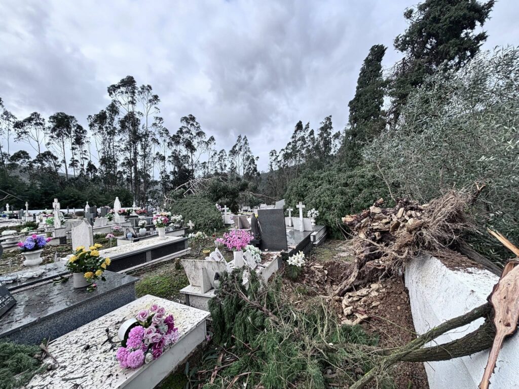 Ponto da Situação – Ferreira do Zêzere, manhã de 29 de janeiro de 2026 Ponto da Situação – Ferreira do Zêzere, manhã de 29 de janeiro de 2026