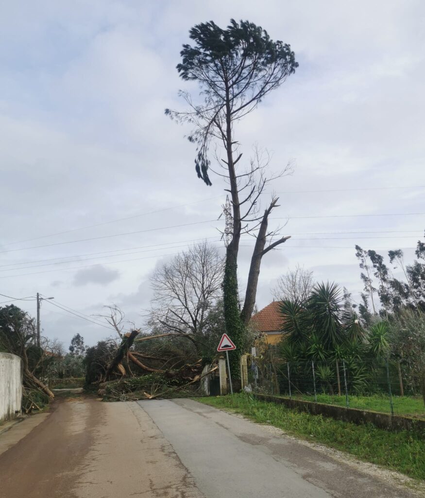 Imagens impressionantes da depressão Kristin em Ferreira do Zêzere