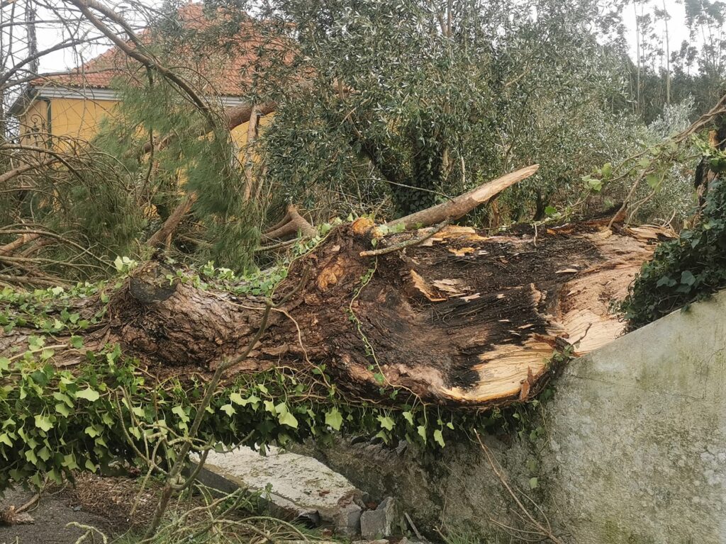 Imagens impressionantes da depressão Kristin em Ferreira do Zêzere