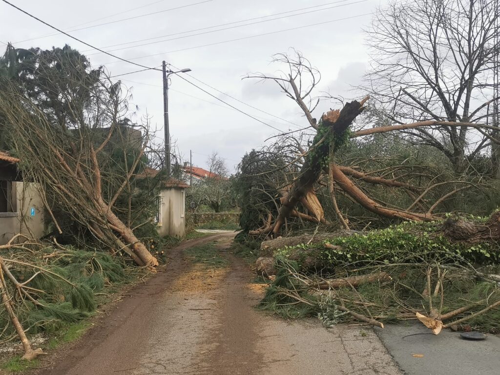 Imagens impressionantes da depressão Kristin em Ferreira do Zêzere