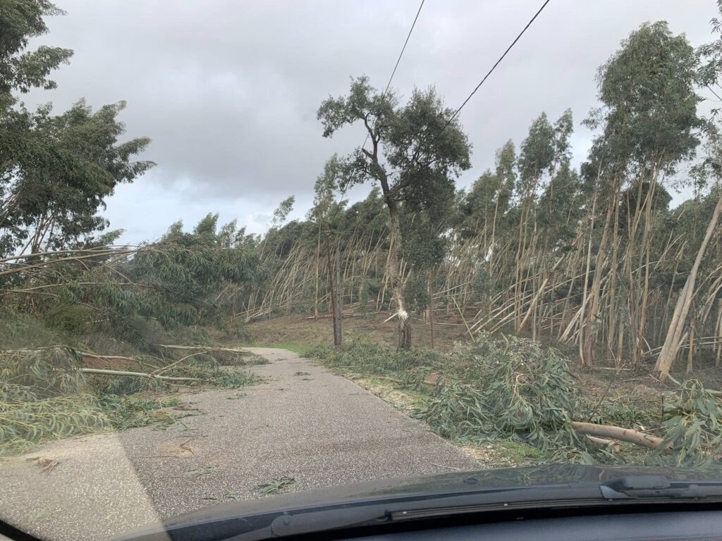 Imagens impressionantes da depressão Kristin em Ferreira do Zêzere