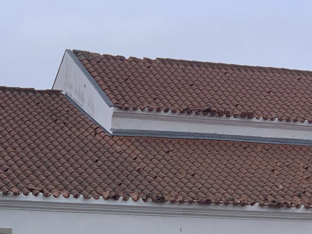 Imagens impressionantes da depressão Kristin em Ferreira do Zêzere