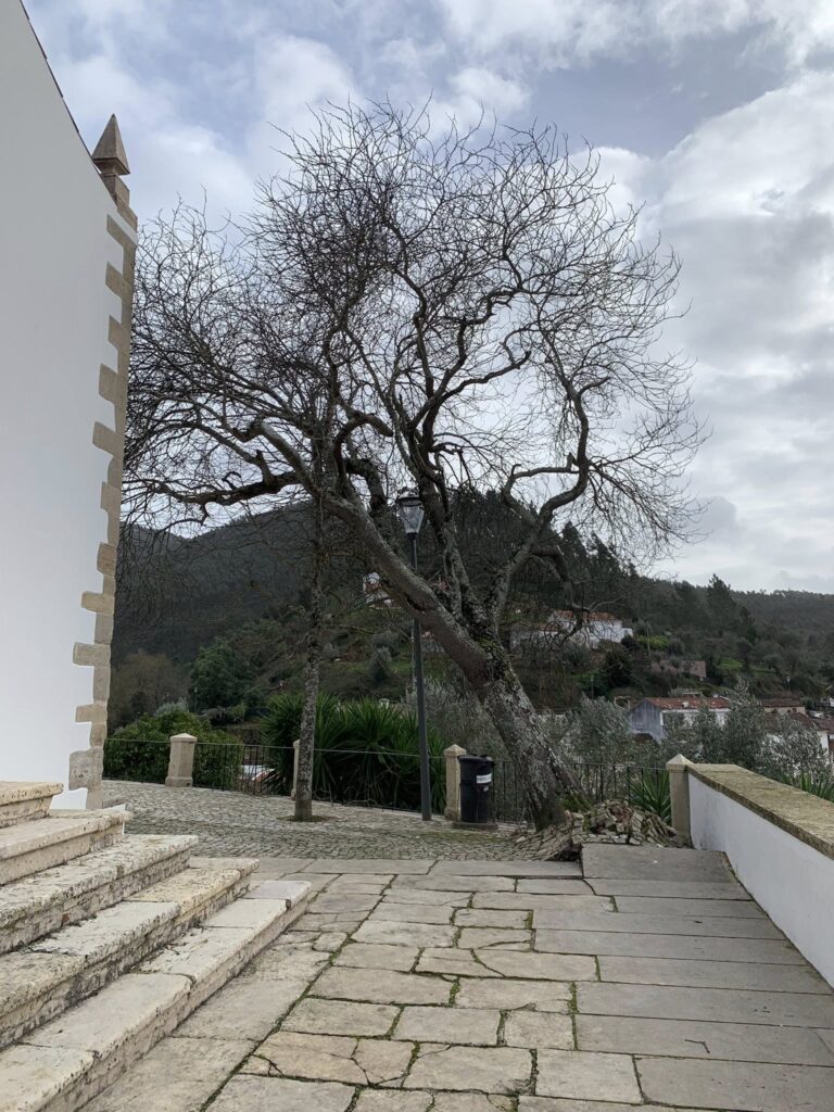 Imagens impressionantes da depressão Kristin em Ferreira do Zêzere