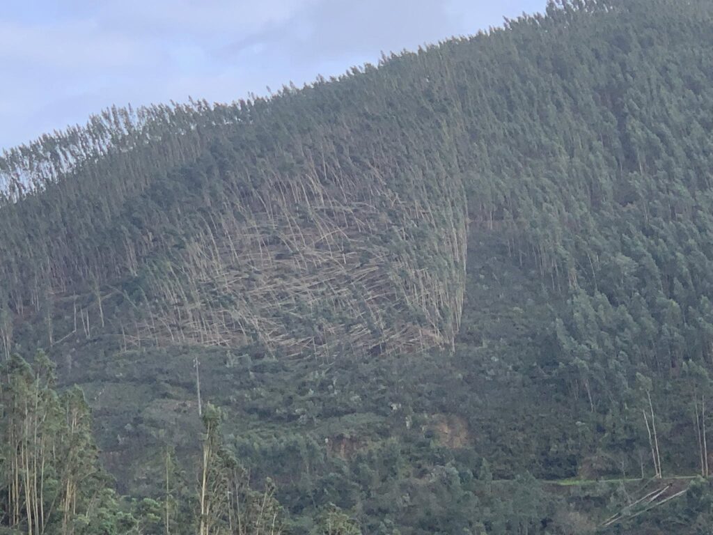 Imagens impressionantes da depressão Kristin em Ferreira do Zêzere