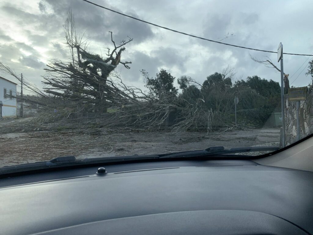 Imagens impressionantes da depressão Kristin em Ferreira do Zêzere