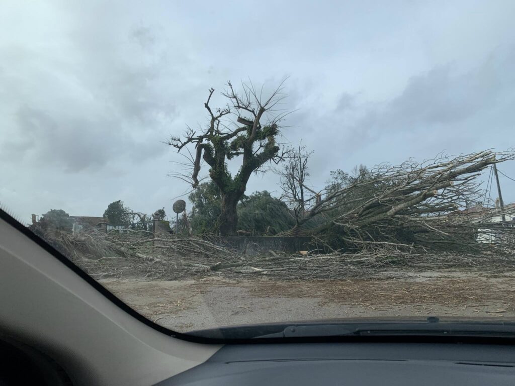 Imagens impressionantes da depressão Kristin em Ferreira do Zêzere