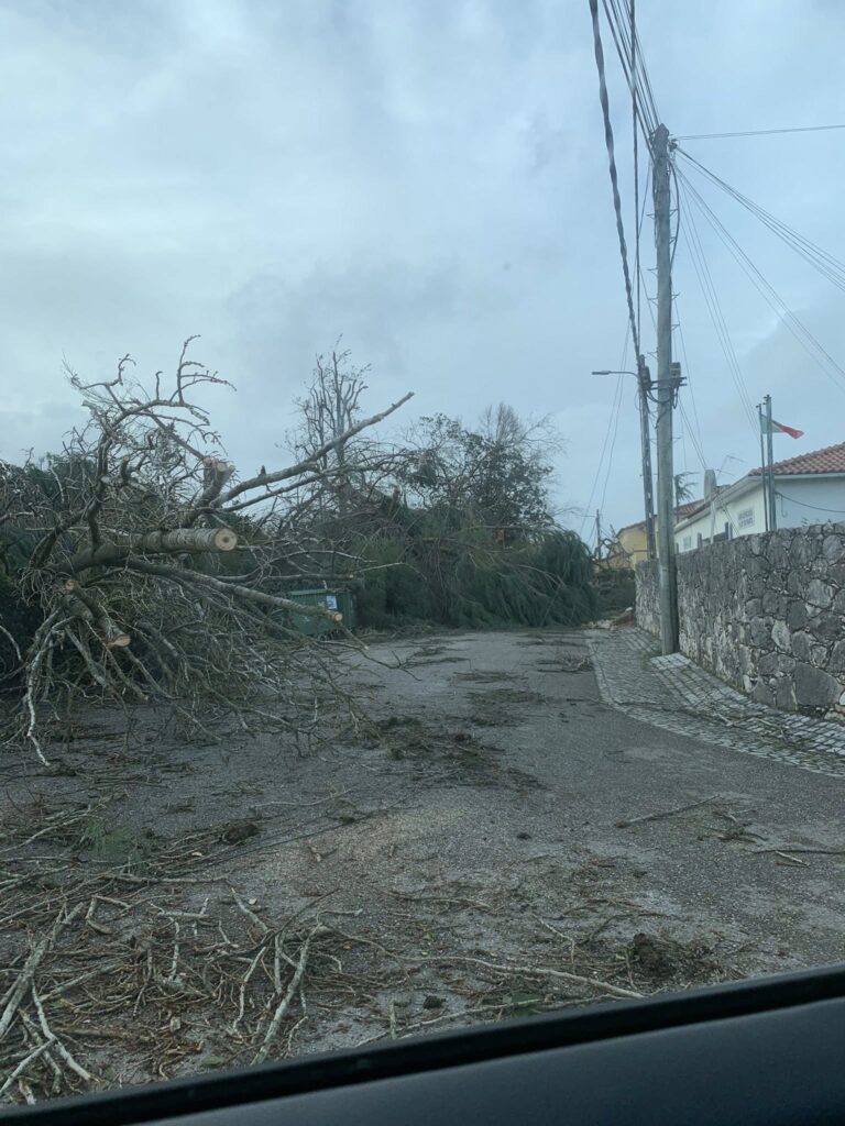Imagens impressionantes da depressão Kristin em Ferreira do Zêzere