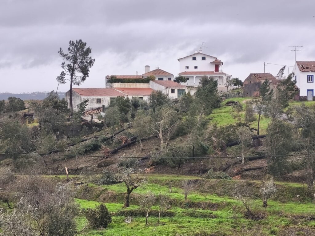 Tempestade Kristin deixa rasto de destruição em Vila de Rei Tempestade Kristin deixa rasto de destruição em Vila de Rei