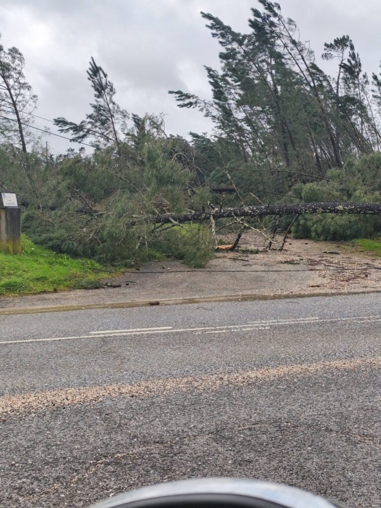 Tempestade Kristin deixa rasto de destruição em Vila de Rei Tempestade Kristin deixa rasto de destruição em Vila de Rei