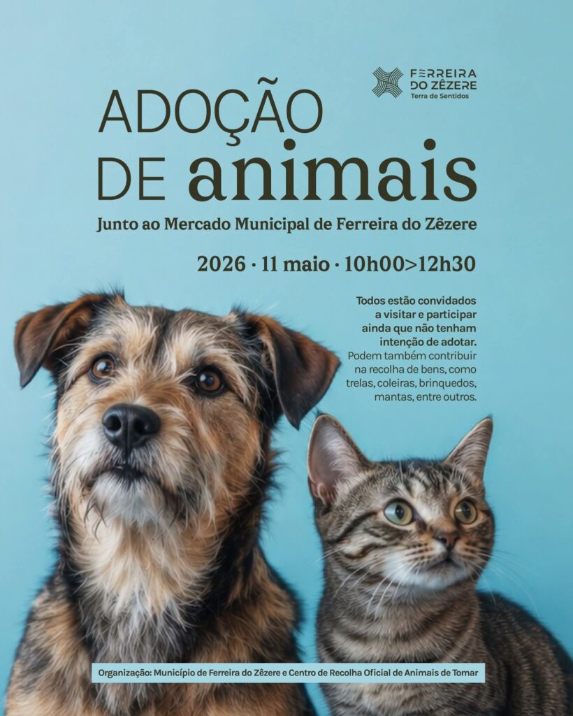Município promove ação de adoção animal no Mercado Municipal de Ferreira do Zêzere
