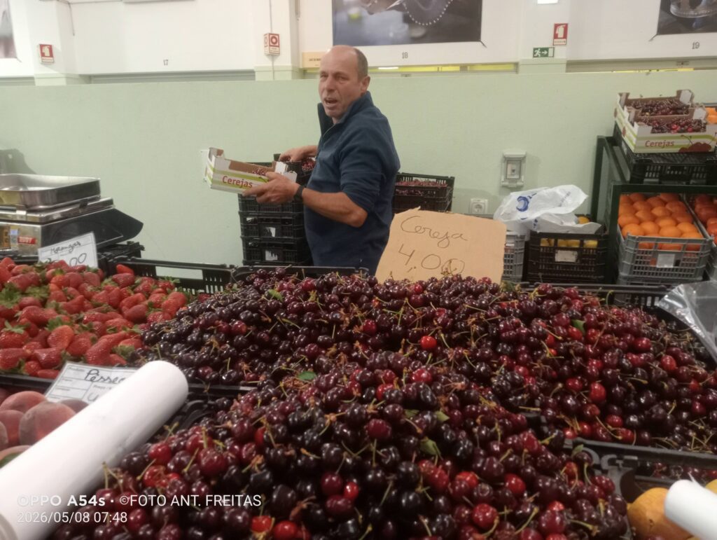 Cereja de Ferreira do Zêzere: qualidade e tradição em destaque