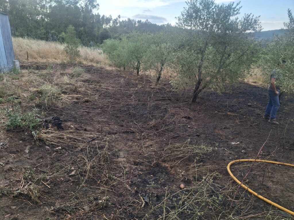 Foco de Incêndio em olival mobilizou esta tarde bombeiros de Ferreira do Zêzere e Alvaiázere na freguesia do Bêco Foco de Incêndio em olival mobilizou esta tarde bombeiros de Ferreira do Zêzere e Alvaiázere na freguesia do Bêco